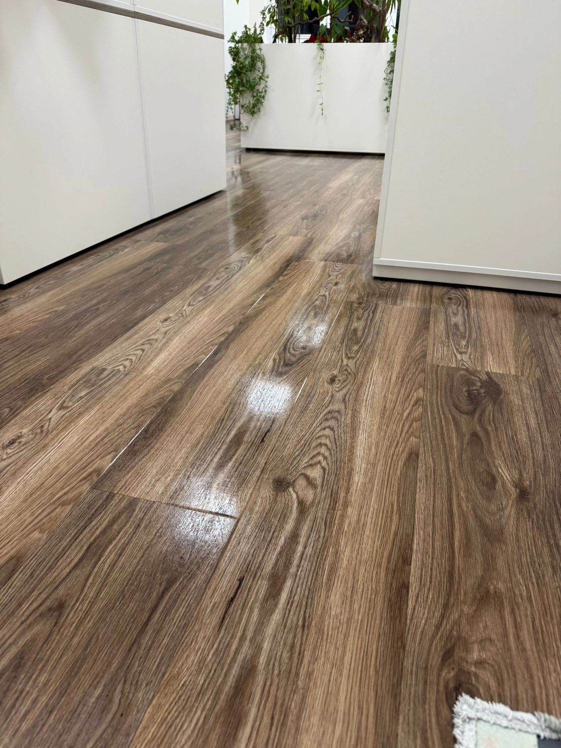 AquaGlanz Gebäudereinigung,Gebäudereinigung ,Stein- und Fassadenreinigung,Glas- und Fensterreinigung,Grundreinigung,Bauendreinigung,Entrümpelung und Nachlassauflösung ,Reinigung von Privat- und Geschäftsräumen, Bleron Rexhahmetaj , Blaichach