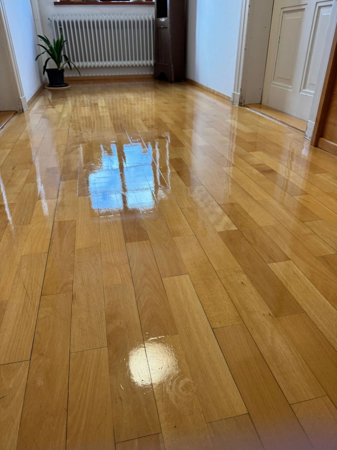 AquaGlanz Gebäudereinigung,Gebäudereinigung ,Stein- und Fassadenreinigung,Glas- und Fensterreinigung,Grundreinigung,Bauendreinigung,Entrümpelung und Nachlassauflösung ,Reinigung von Privat- und Geschäftsräumen, Bleron Rexhahmetaj , Blaichach
